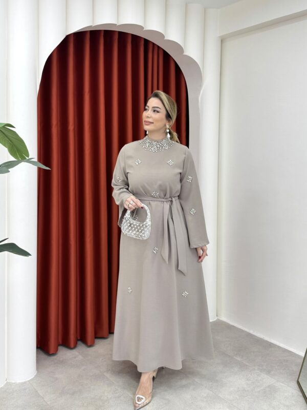 Beyza Elbise Vizon