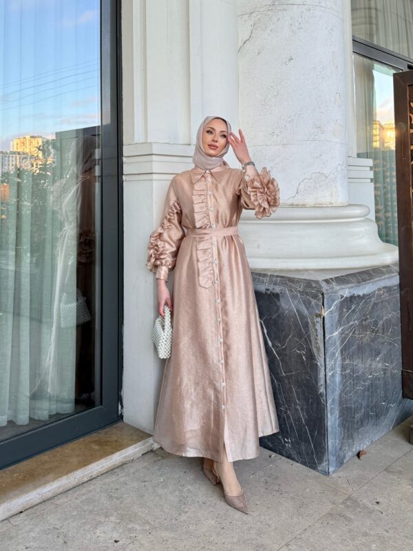 Nazlı Elbise Somon - Görsel 2
