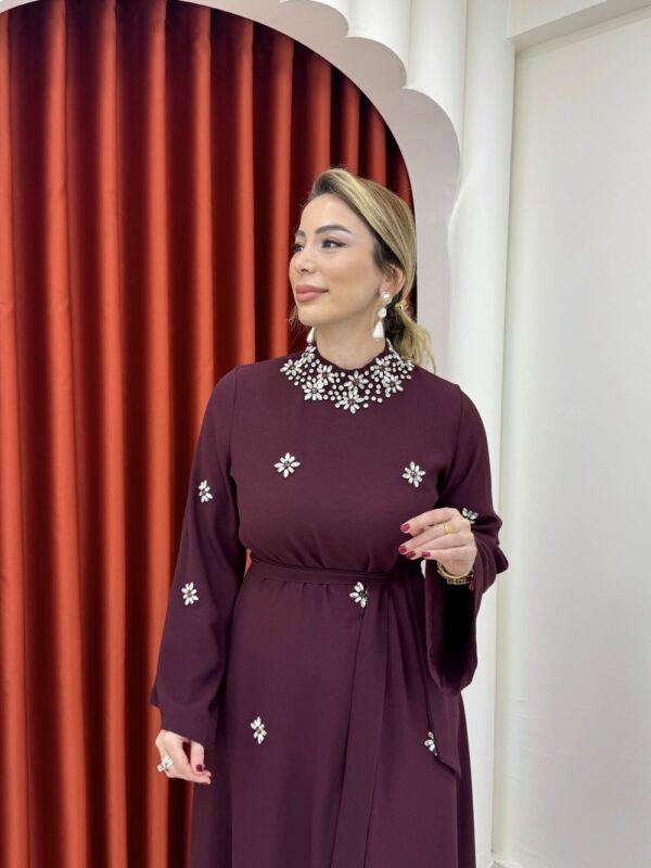 Beyza Elbise Mürdüm - Görsel 3