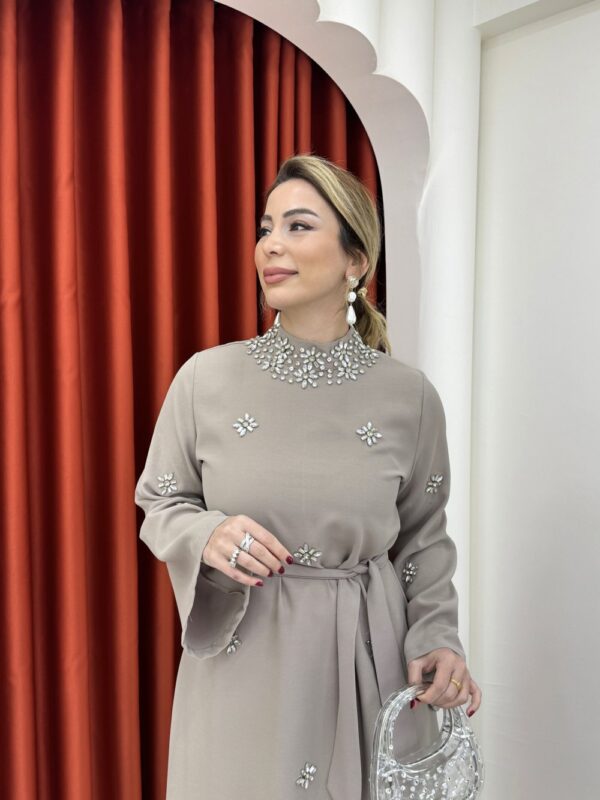 Beyza Elbise Vizon - Görsel 3