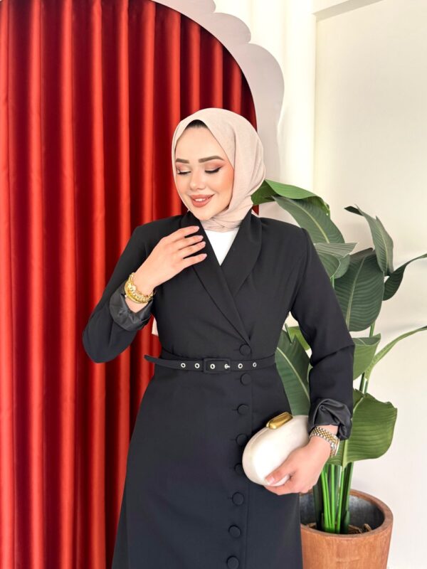 Irmak Elbise Siyah - Görsel 3