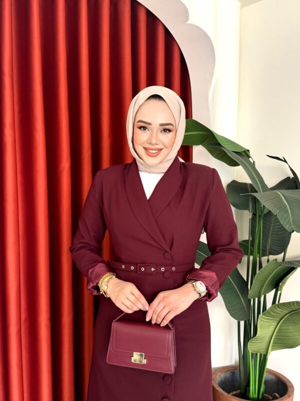 Irmak Elbise Bordo - Görsel 4